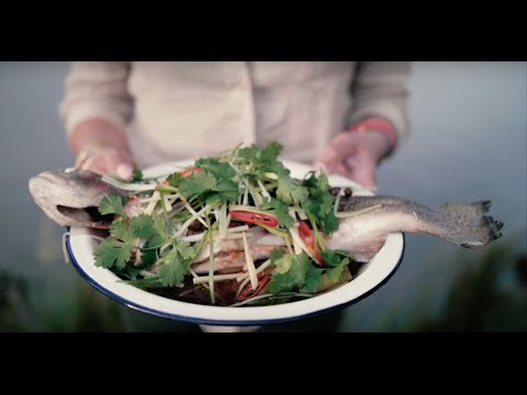 Video: How To Steam Trout?