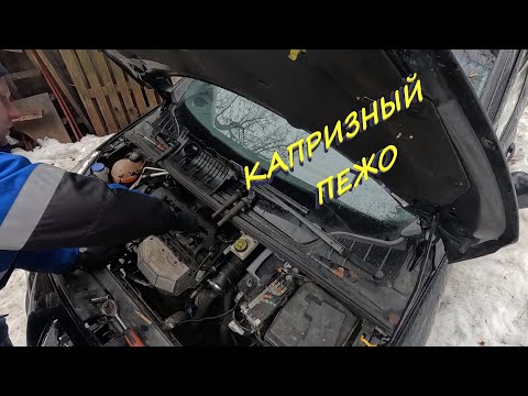 Видео: Капризный Пежо #автоэлектрик #ремонтавто #Пежо #незаводится