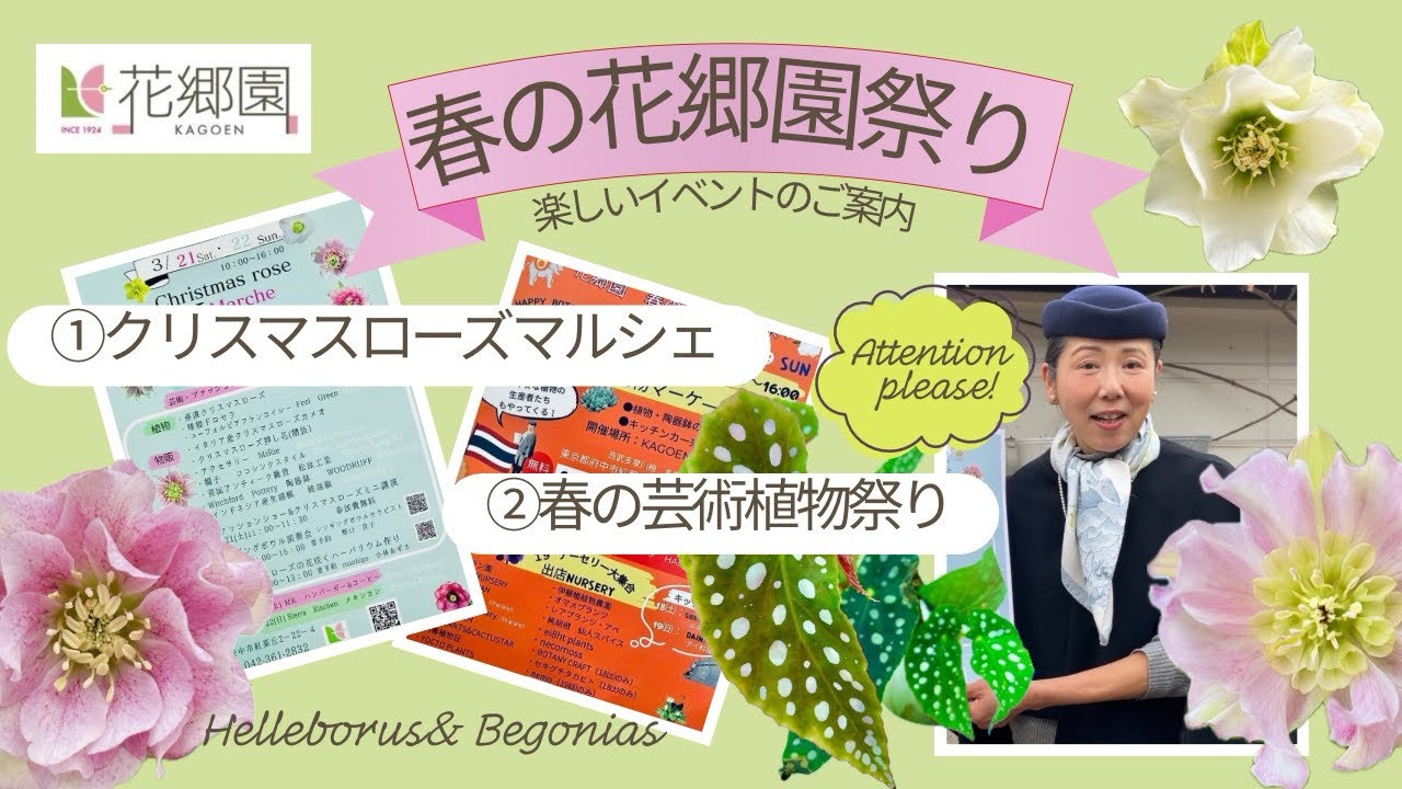 【花郷園 春の2大イベント】クリスマスローズマルシェと芸術植物祭りのご案内