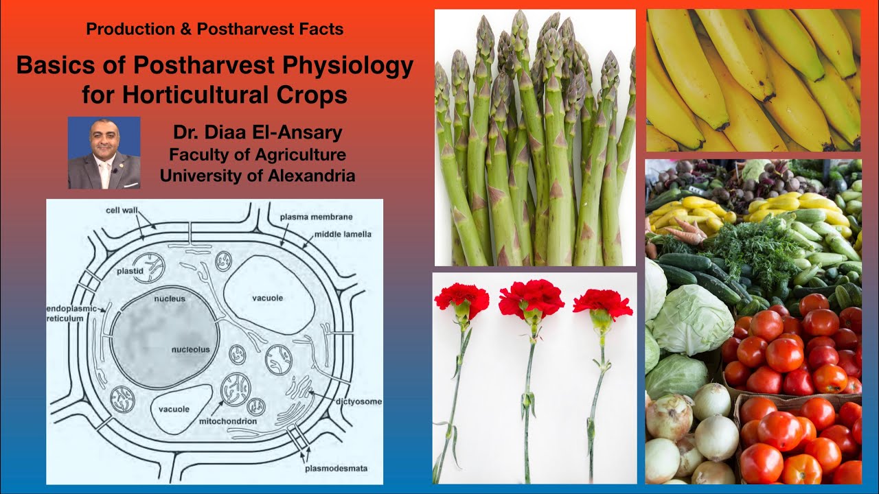 Physiologie horticole