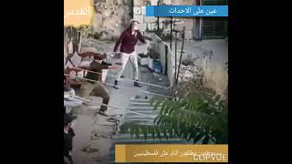 مستوطنون يطلقون النار على أهالي حي الشيخ الجراح