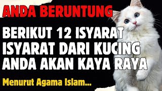 JANGAN DIABAIKAN..!! BERIKUT 12 ISYARAT DARI KUCING BAHWA ANDA AKAN KAYA RAYA