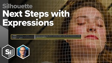 Next Steps with Expressions in Boris FX Silhouette
