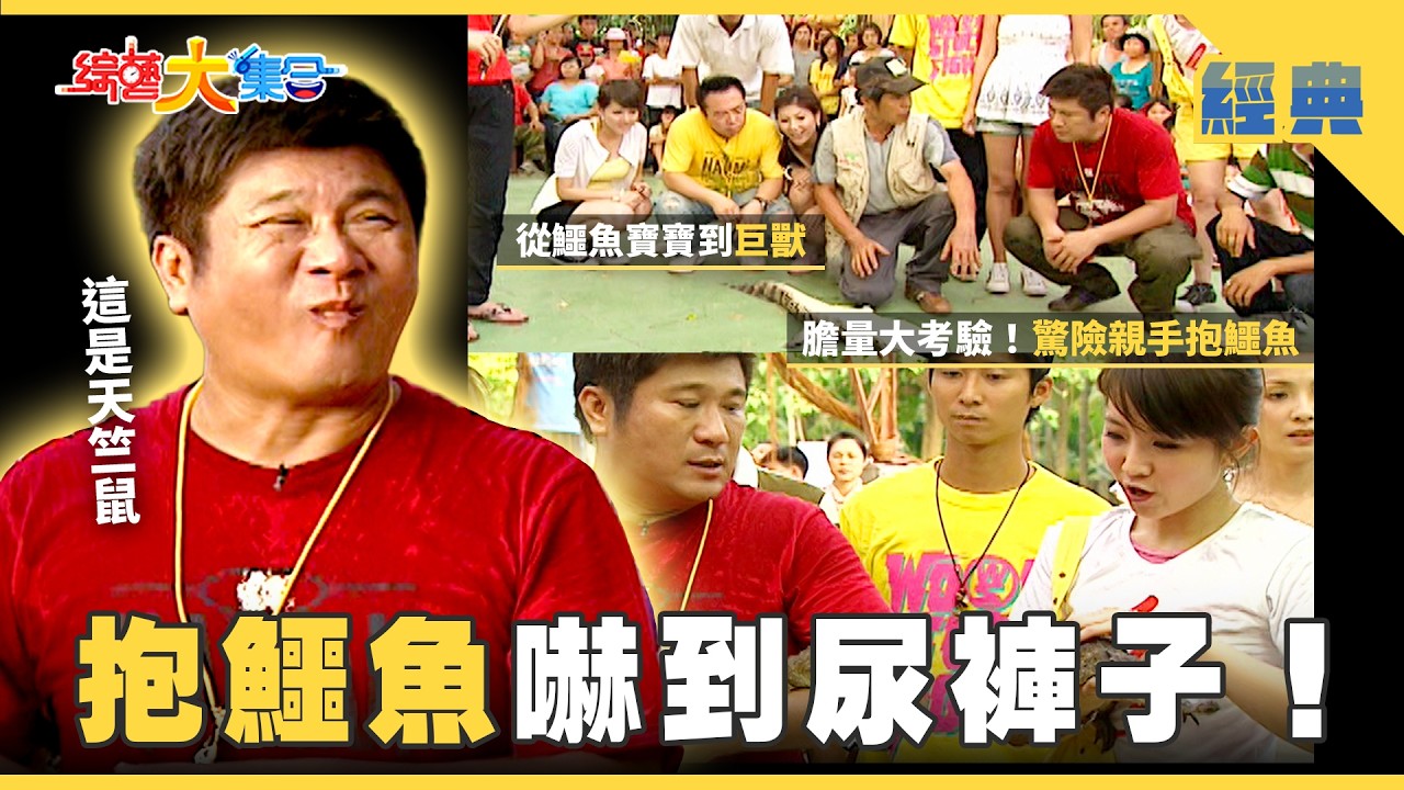 【綜藝大集合 經典】抱鱷魚嚇到尿褲子🐊！小提琴還有催眠效果🎻💤！？ 屏東 2026.2.5