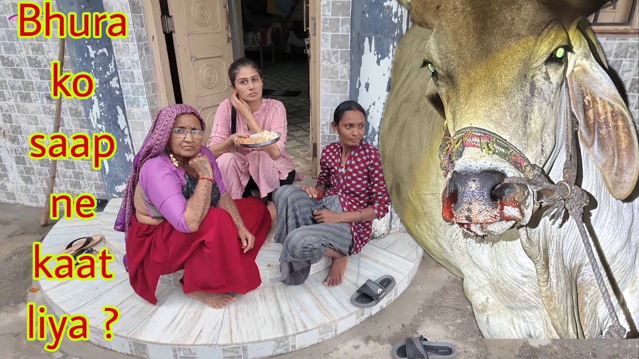 BHURA KO KYA HO GYA AJJ ACHANAK SE 