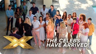 The Celebs Arrive to Face the Music! | X Factor: Celebrity