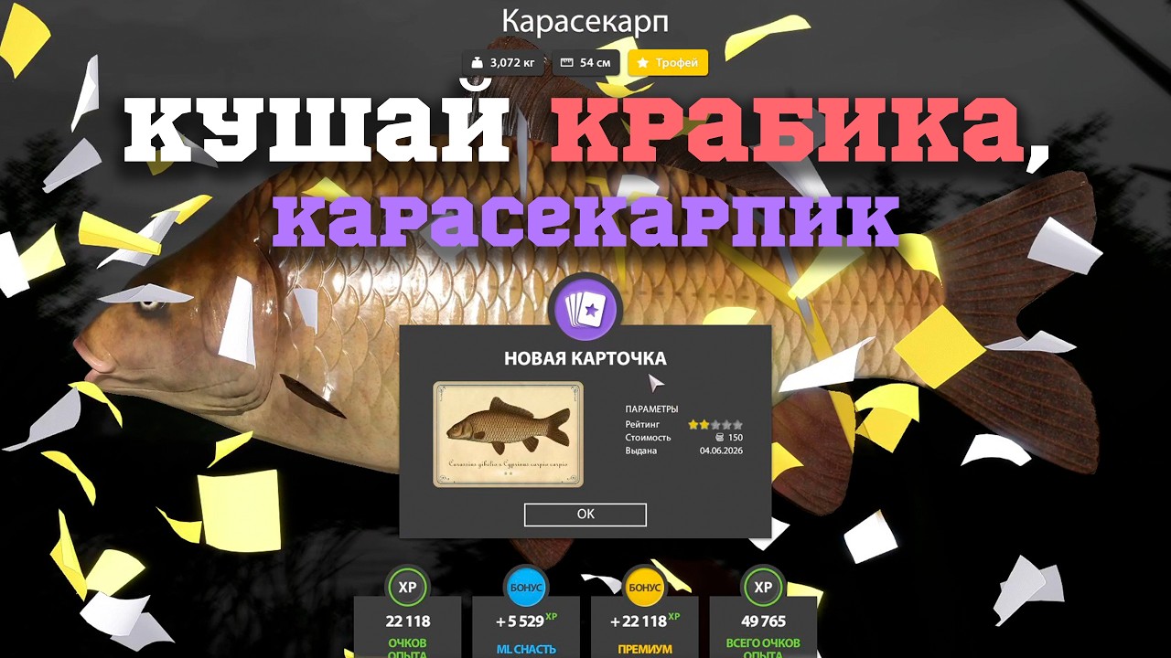 4 4