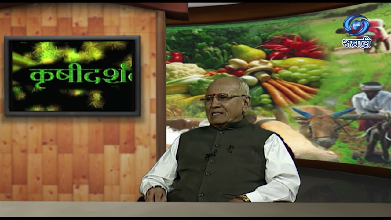 कापूस पिकातील तंत्रज्ञान | दादा लाड | Pune | HD | Krushidarshan | कृषीदर्शन | 23.05.2025