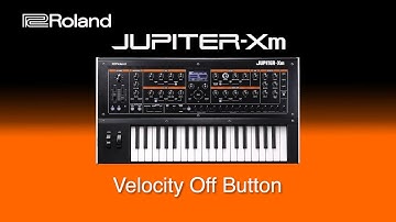 Roland Jupiter-Xm - Velocity Off Button
