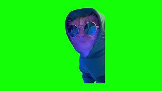 【左右反転/猫ミーム素材】クラブ サングラス フード 猫 club sunglass dance cat meme green screen【グリーンバックスクリーン】#猫ミーム #素材 #動画編集