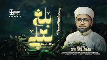 Balaghal Ula | Sayyid Thwaha Thangal Pookkottur | New Madh Song 2025