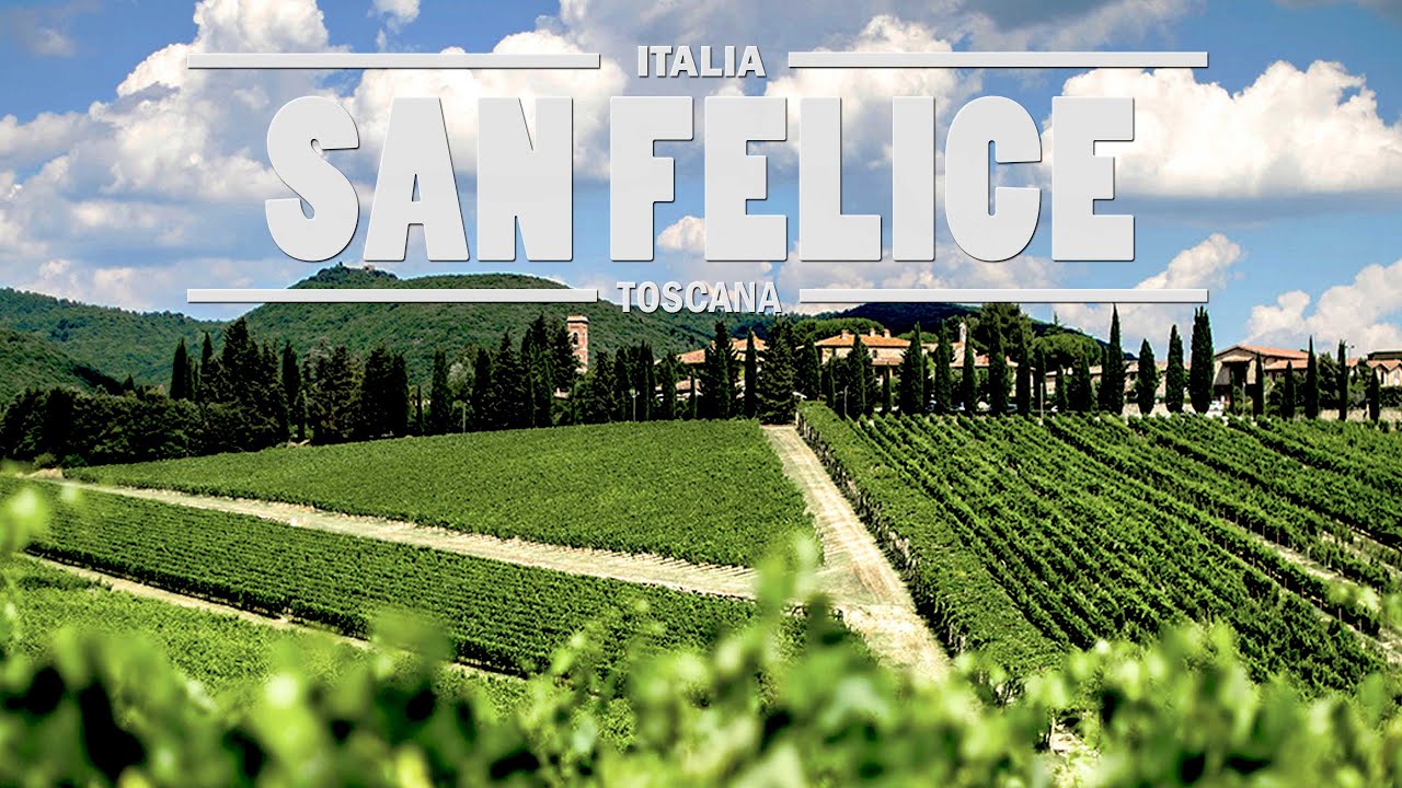San Felice : Tradizione e scienza per l'eccellenza vinicola