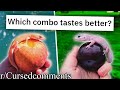 r/Cursedcomments | WHICH ONE WOULD YOU EAT??