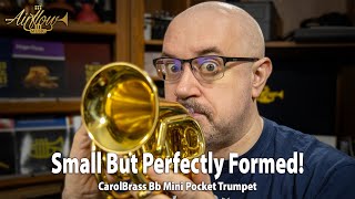 Small But Perfectly Formed! CarolBrass Mini Trumpet Review & Gig Test