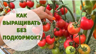 "Сколько вынес с урожаем, столько и верни". Почему это правило не всегда работает?