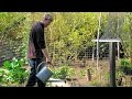 An Urban Homestead Tour with Justin Tiret
