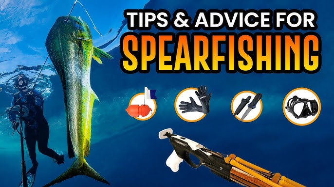 SPEARFISHING FOR BEGINNERS FROM A BEGINNER - Gear / Tips / Tricks