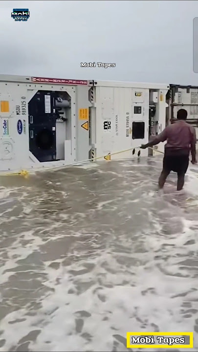 Some lucky people found a cargo container from the sea