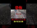 熊の貯食行動。