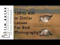 100 400 or Similar Zoom Lenses For Bird Photography