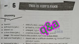 8th class English 6th unit this is jody's fawn question and answers material new NCERT CBSE syllabus