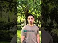 PUEDO AYUDARTE