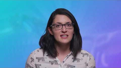 A Look at Computer Vision