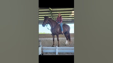 #naturalhorsemanship #loveforthehorse #horse #equestrian #trailhorse