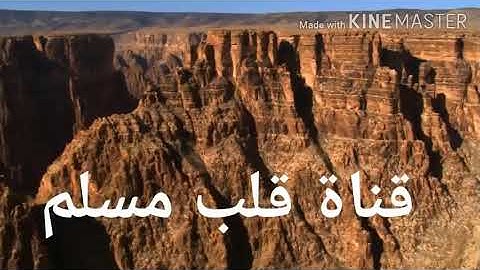 سورة الضحي القارىْ حسام الدين عبادي خاشع راىْعه