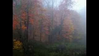 November Rain - (Instrumental Version)
