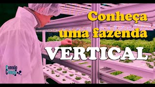 Fazendas verticais produzem alimentos saudáveis mesmo em grandes centros urbanos