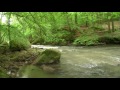 1 hour of relaxing nature sounds / ASMR / water and birds singing / relaxing / meditation