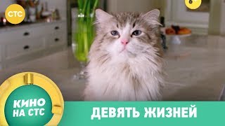 Девять жизней | Кино в 19:20