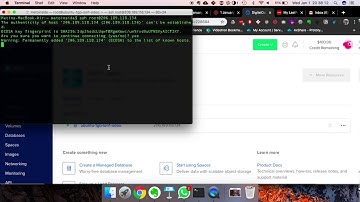 DigitalOcean - resolution of Permission Denied (Access) error