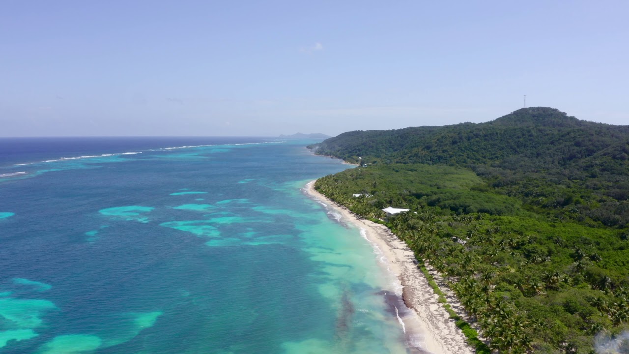 Roatan Camp Bay Beach YouTube