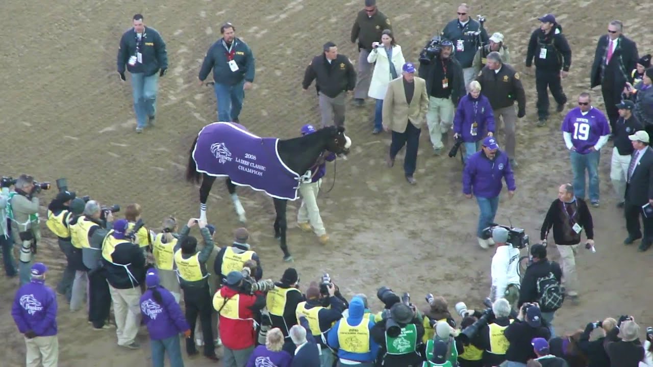 2010 Breeders' Cup Classic - Zenyatta Walking Over - YouTube