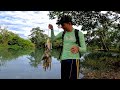 Un Gran Día de Mucha Pesca Varias Especies Aparece COCODRILO Gigante 😲🐊