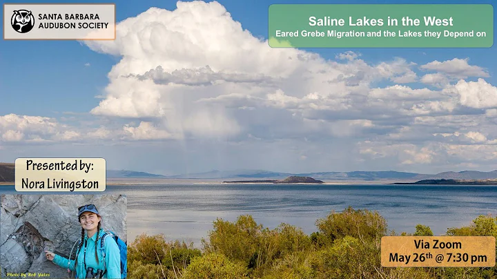 Saline Lakes in the West: Eared Grebe Migration an...