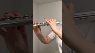 Guess the piece i play #fluterecital #music #flute #shorts