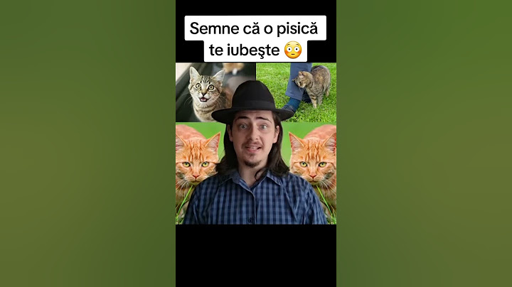 SEMNE CA O PISICA TE IUBEŞTE 😳