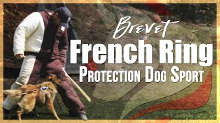 The Brevet | French Ring Protection Dog Sport