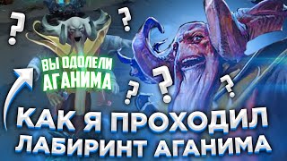 НЕОСПИДРАН ЛАБИРИНТА АГАНИМА | ТОКСИК СНАЙПЕР | АФК ДИСРАПТОР | БЫДЛО ОМНИК | 20 IQ ВИВЕРНА