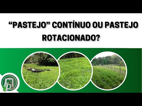 Vídeo: Para contínuo ou contínuo?