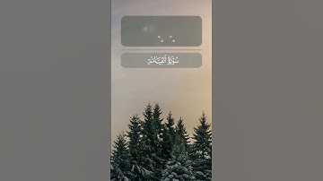 سورة القيامة القارئ ياسر الدوسري #القرآن #اكسبلور #القرآن_الكريم #لايك #راحة_نفسية #حالات_واتس_اب