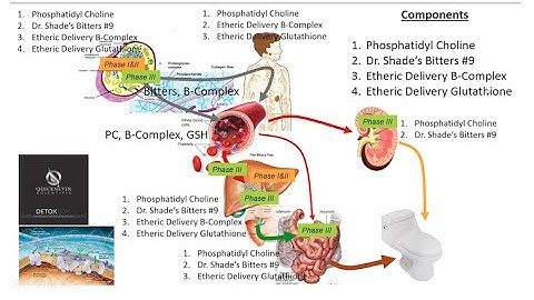 The Quicksilver Mercury Tri-Test, Part One