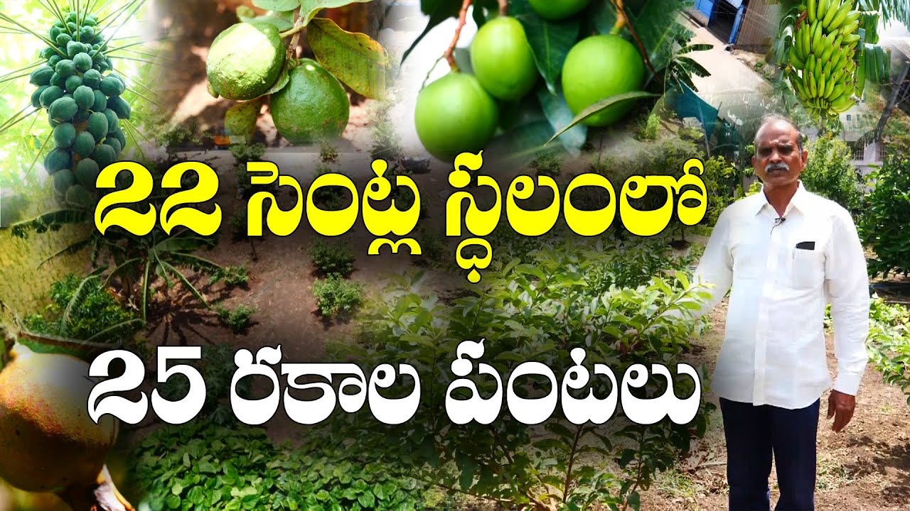 Меньше места – больше видов культур || Комплексное земледелие на небольшой площади || В. Раджендр...