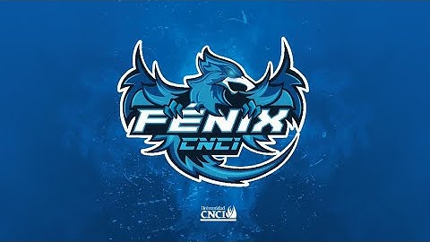 Proyecto integrador | Programacion I