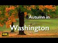 Washington Autumn