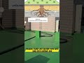 Spray Polyurea Waterproofing – Fast Application Demo