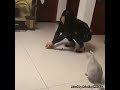 Wow what a moment 🤣#laugh  #viralvideo